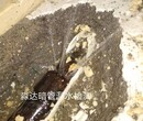 专业仪器检测商品房水管漏水