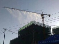 珠海建筑工地塔吊喷淋厂家图片3