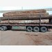 山樟木板材厂家直销山东地区定制加工价格合理