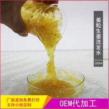 生姜洗发水的功效博贤实业化妆品生姜洗发水姜粒贴牌代加工图片