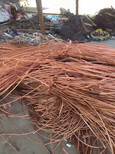红河回收旧电缆线价格,二手废旧铜铝线回收图片2
