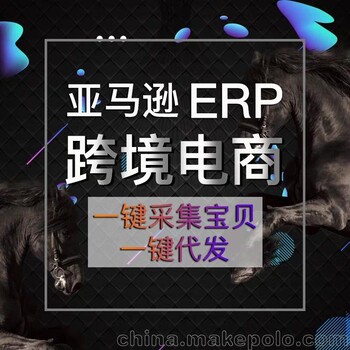 创业郑州亚马逊ERP贴牌市场能使你快速成长