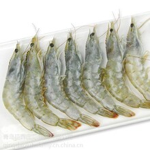 你在天津港最需要的新鲜冷冻鱼冷冻海鲜进口报关专家都在这里