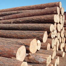 非洲进口木材板材需要在哪里进口最方便？