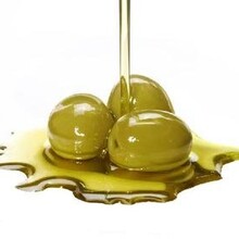 广州希腊橄榄油菜籽油进口报关流程