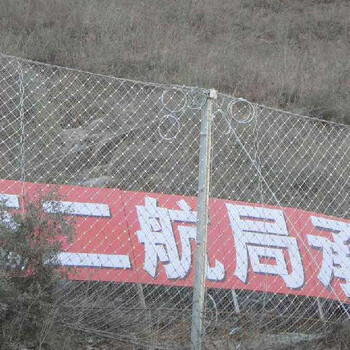 供應畢節(jié)被動防護網(wǎng)