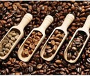巴拿马瑰夏咖啡豆进口清关税率—广州咖啡进口代理公司图片