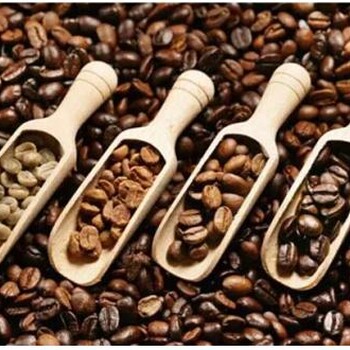 巴拿马瑰夏咖啡豆进口清关税率—广州咖啡进口代理公司
