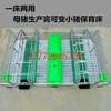 安徽芜湖市猪场必选母猪产床保育二用型尺寸2米2乘以3米6通用型厂家直销