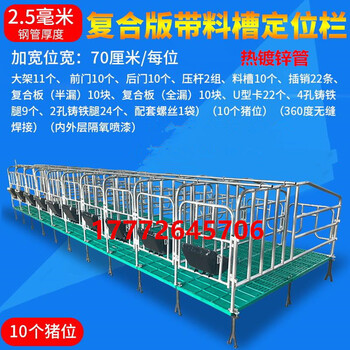 批发安徽滁州地区母猪定位栏限位栏带复合漏粪板定位栏