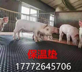 厂家直销畜牧猪舍橡胶防滑垫，母猪产床橡胶垫