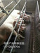 母豬位橡膠墊子橡膠毯母豬產床橡膠防滑墊豬用防滑墊產床豬場專用