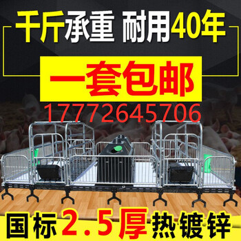 厂家批发甘肃天水加厚产保一体武威市母猪产床双连体产床落地产床