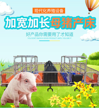 梅州猪厂加厚猪用产床双体母猪产床加厚板报价