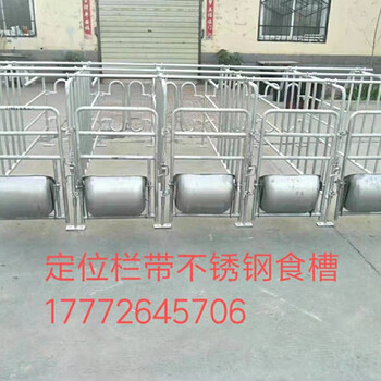 宁夏中宁县落地式母猪限位栏2.0厚限位栏复合板离地限位栏