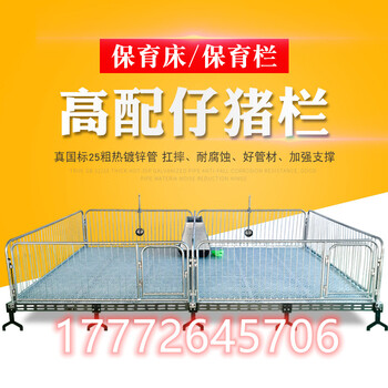 陕西榆林猪保育床猪用保育栏带不锈钢双面食槽猪场设备