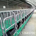 江西九江猪场母猪定位栏70宽限位栏10个位的限位栏带复合板