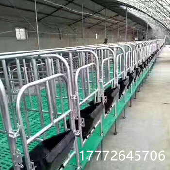 天津宁河区母猪限位栏猪用定位栏限位栏猪场养猪带食槽养猪设备