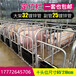 辽阳70宽母猪用限位栏国标热镀锌定位栏养猪设备10位母猪定位栏