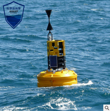 填充发泡浮漂滚塑监测水质航标