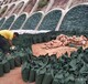 亳州生态袋批发土工生态袋欢迎咨询