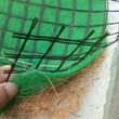 昆明抗冲生物毯供应欢迎来电咨询图片