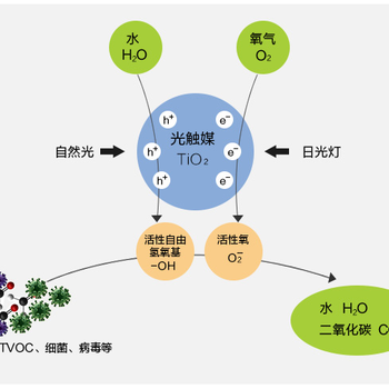 除了通风，除甲还有几个有效的除甲醛方法