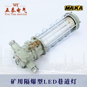 DGS24/127L(A)礦用LED巷道燈