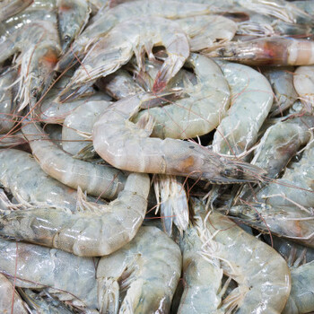 如何进口厄瓜多尔白虾需要注意哪些事项