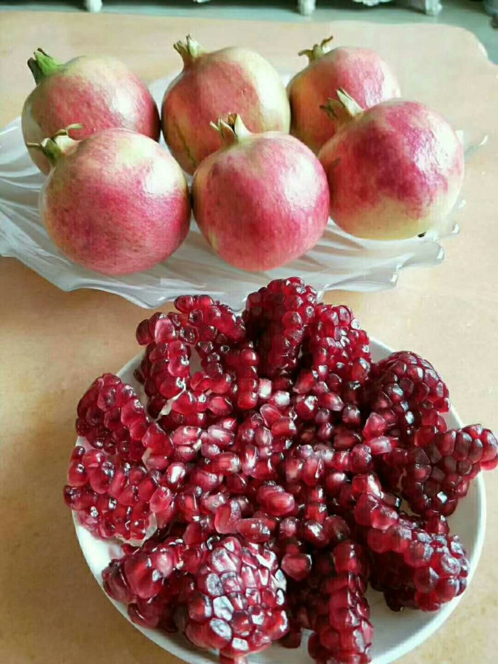五公分石榴苗產(chǎn)地