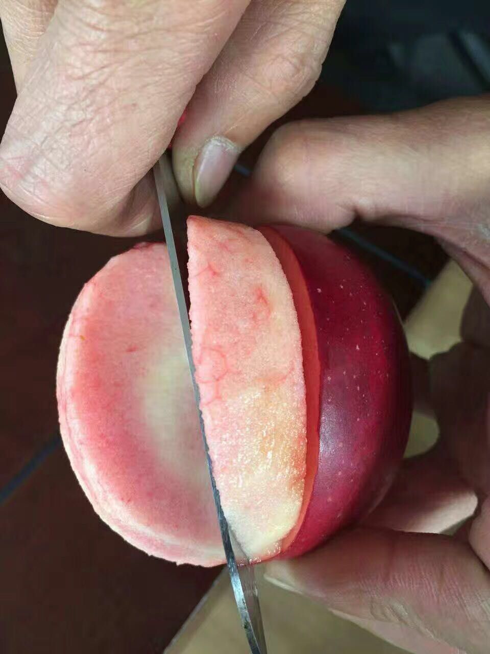 三年山楂苗出售價(jià)格