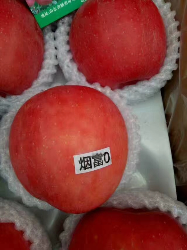 抗旱山楂苗供應(yīng)價(jià)格