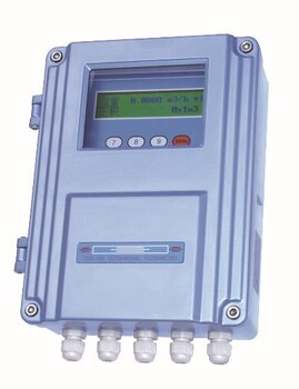 北京厂家TDS-100F1AC插入式超声波流量计