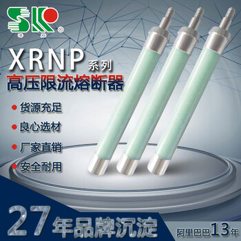 曙光XRNP4电压互感器保护用高压限流熔断器熔断管熔丝保险丝底座