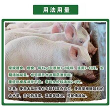 邦恒增食王有效预防猪牛羊家禽的肠胃疾病增进食欲提高日增重