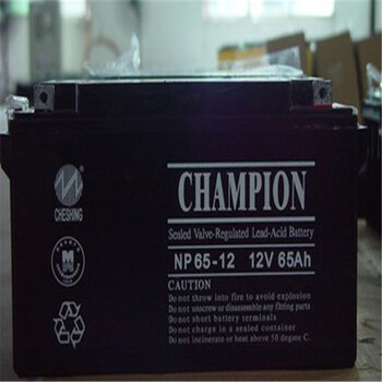 蓄电池UPS电源厂价出货免运费