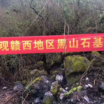 江西黑山石日式枯山水景觀石