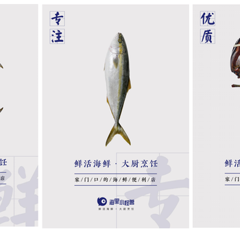 家门口的海鲜便利店—海里小怪兽