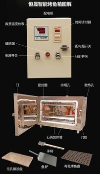 无烟烤鱼设备制造商商用电烤鱼箱全自动烤鱼箱