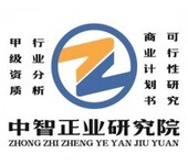 中国电熔镁市场供给趋势及投资运作模式分析报告2023-2030年