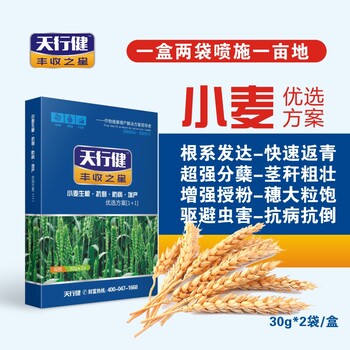 天行健小麦叶面肥天行健小麦长效液肥小麦高产调节剂小麦营养抗病增产液肥