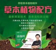 海东南烛叶植物染发加盟厂家直销