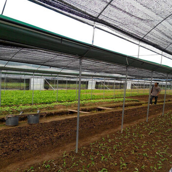 温室大棚内外遮阳网蔬菜大棚隔热网防晒网园林覆盖网