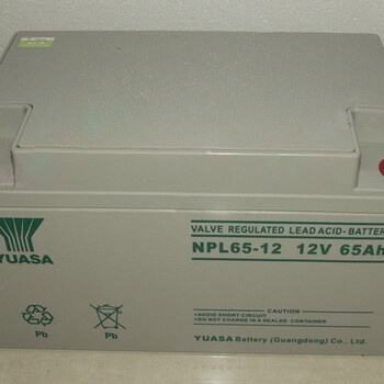汤浅蓄电池NPL38-12铅酸蓄电池12V38AH经销商