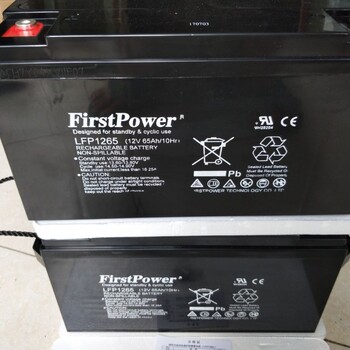 一电蓄电池LFP1240(12V40AH)价格/参数