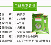 想要肉牛的饲养管理技术？肉牛的饲养管理技术文章肉牛的饲养管理技术	就用英美尔！