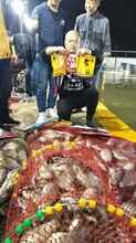 找魚餌生產廠家就找西北狼,專業魚餌廠家直銷圖片