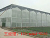 青州瀚洋承建智能pc板温室玻璃温室大棚