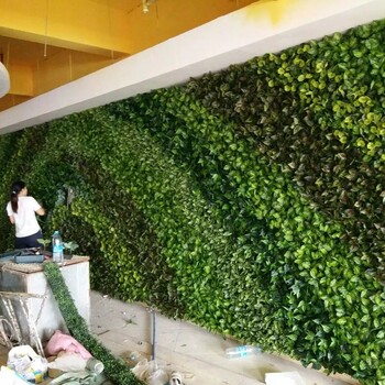 丛一绿植墙,宿迁垂直绿化墙厂家