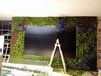 江西垂直绿化仿真植物墙定做价格绿植墙